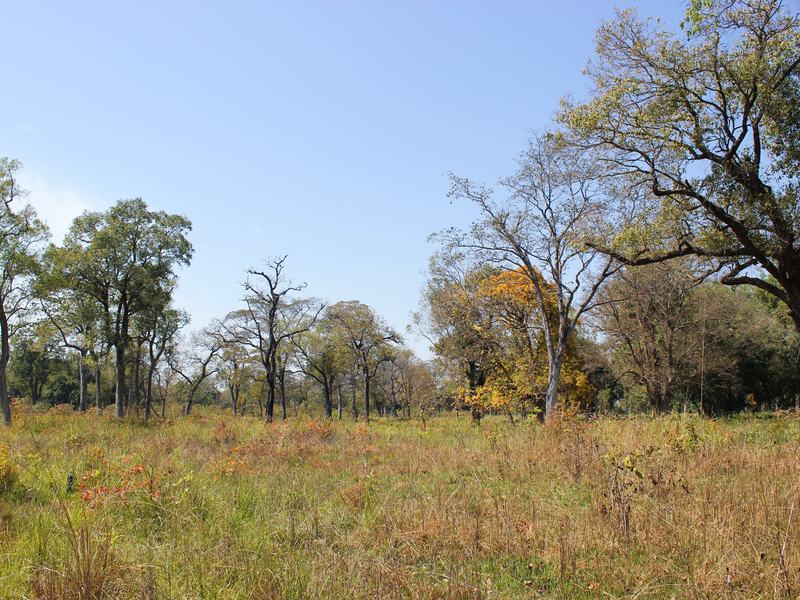 Bardiya National Park