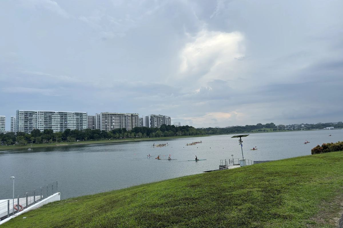 Kayakers on Bedok Reservoir seen from the grassy bank, with housing blocks on the far shore, Singapore