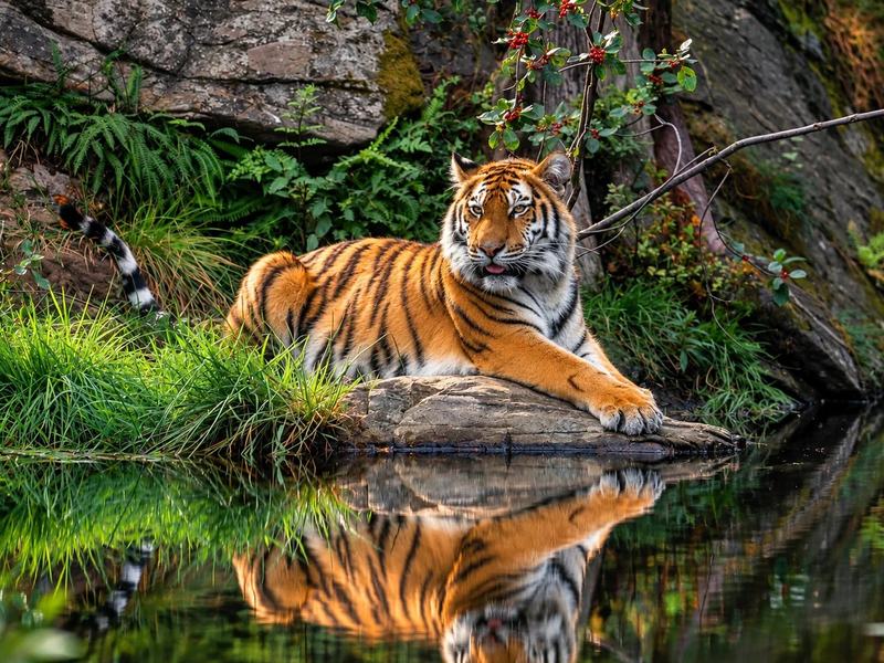 Bardiya, the largest and least disturbed national park in Nepal's Terai