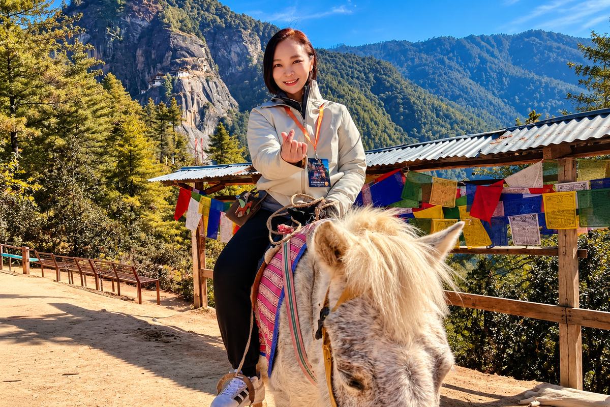 A pony at the trailhead, for the first stretch of the climb