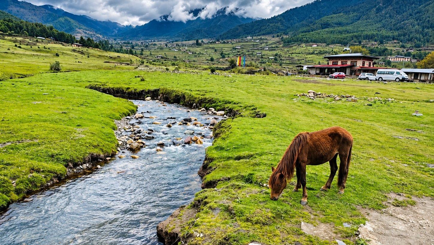 Wangdue Phodrang District