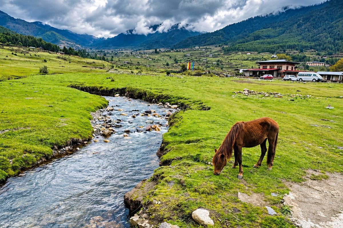Wangdue Phodrang District
