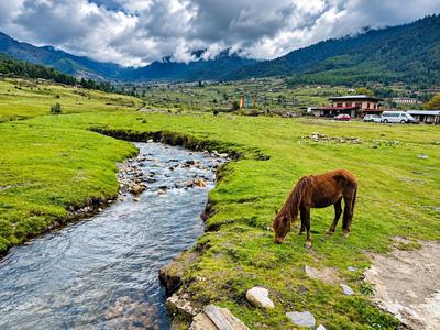 Phobjikha Valley (Gangtey)
