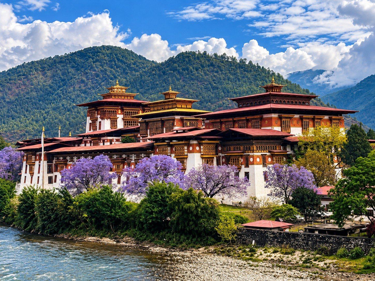 Punakha Dzong in jacaranda season