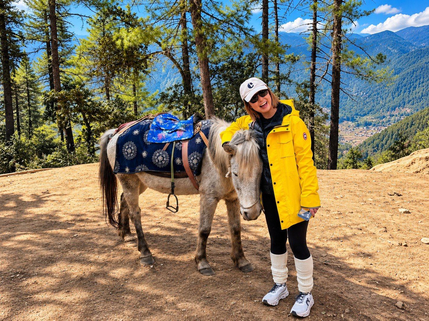 Ponies on the trail to Tiger's Nest