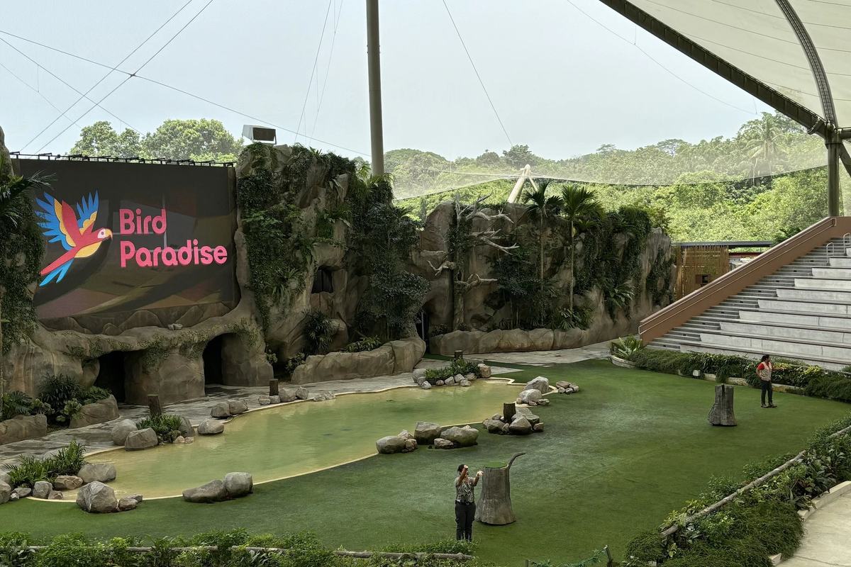 The bird show amphitheatre under the netted canopy at Bird Paradise, Singapore