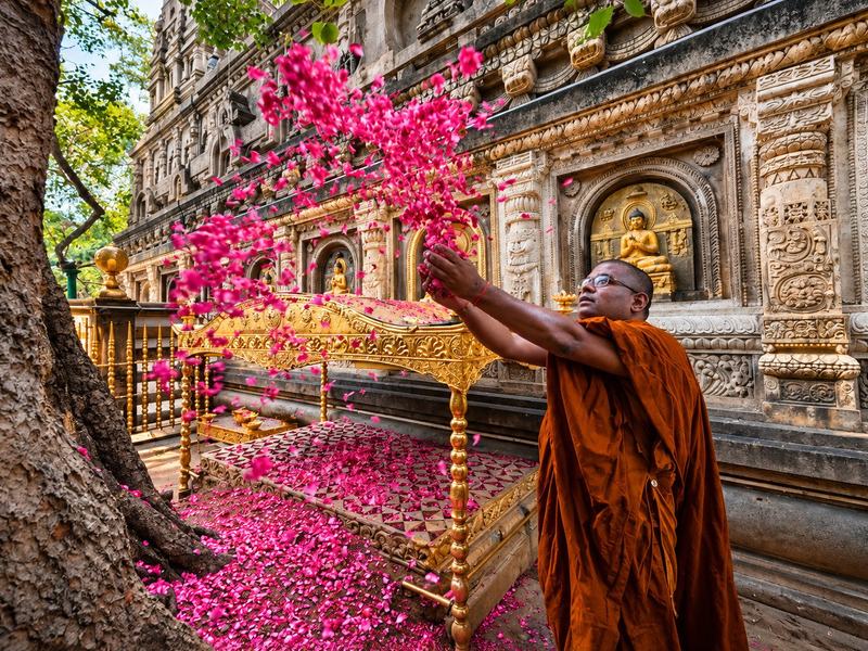 Sit under the Bodhi Tree at Mahabodhi Temple, where the Buddha reached enlightenment.