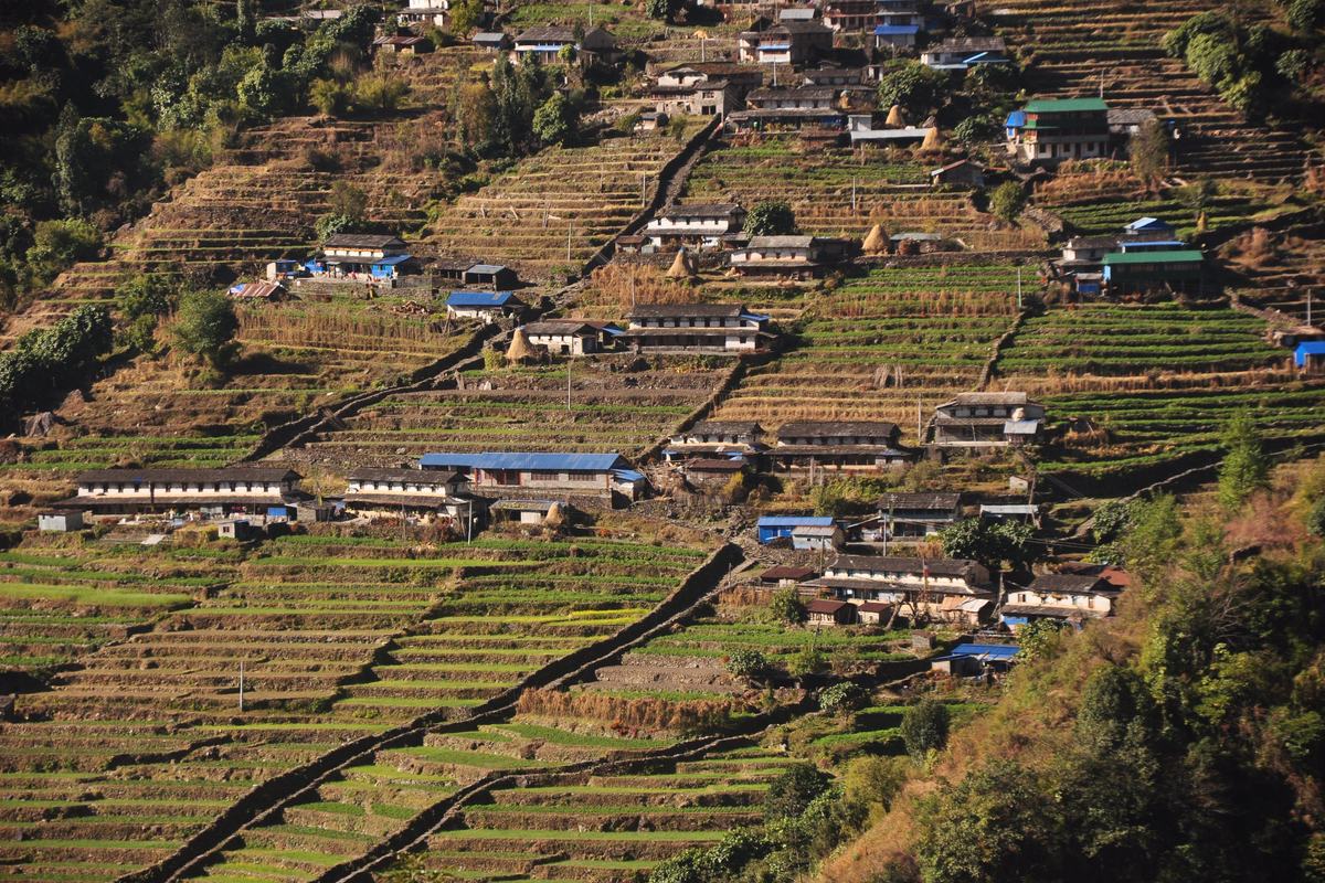 Chhomrong