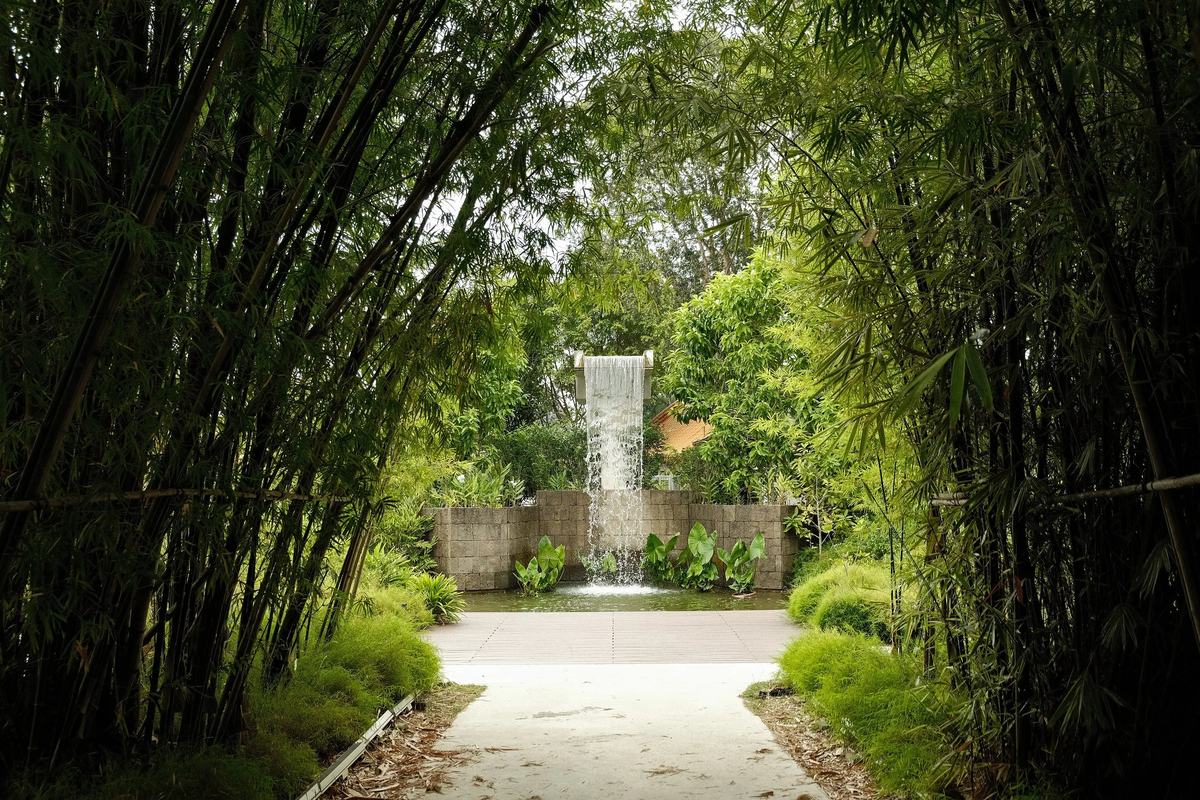 A path through bamboo leading to a waterfall in the Chinese Garden, Singapore