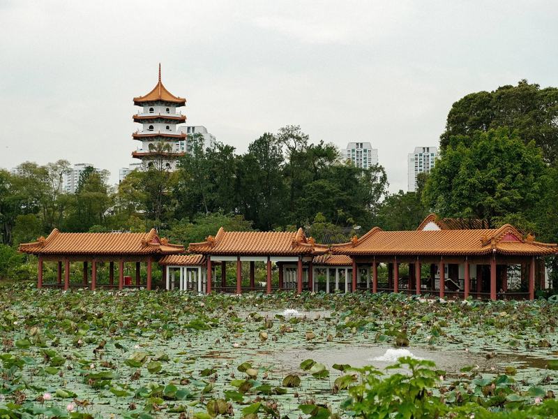 Chinese Garden