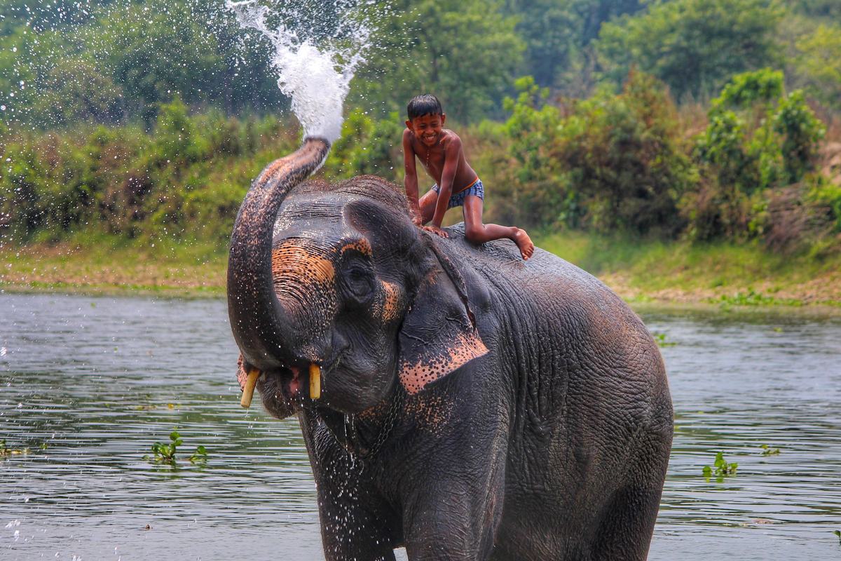 Chitwan National Park