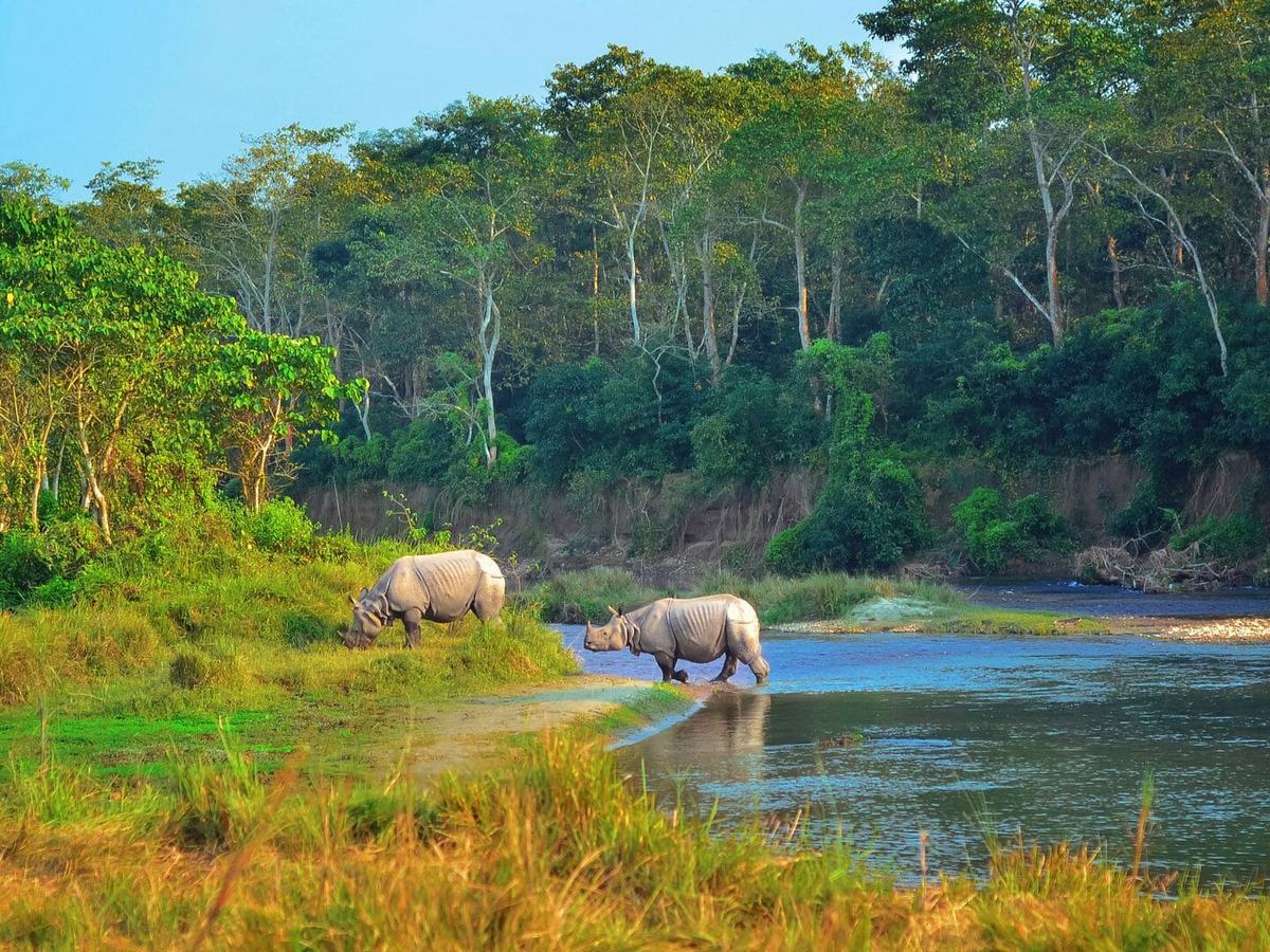 Ghorepani Poonhill Wildlife Trek