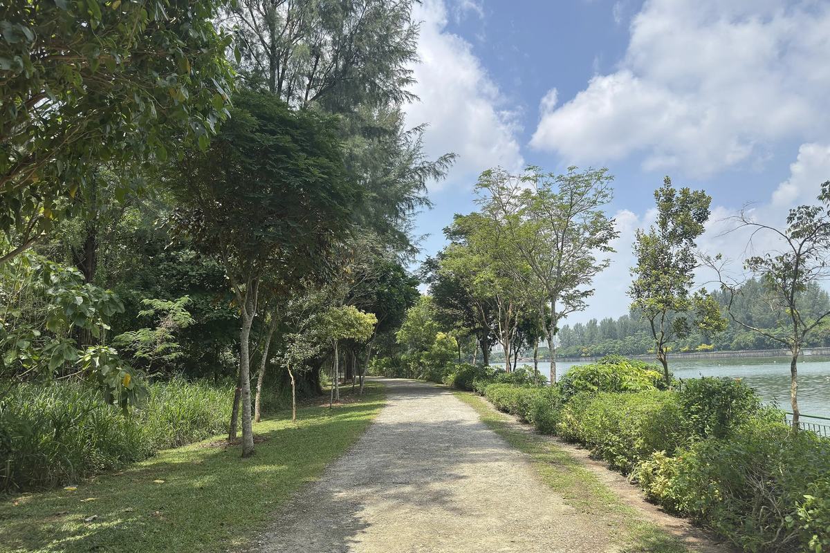 A gravel trail beside Serangoon Reservoir on Coney Island, Singapore