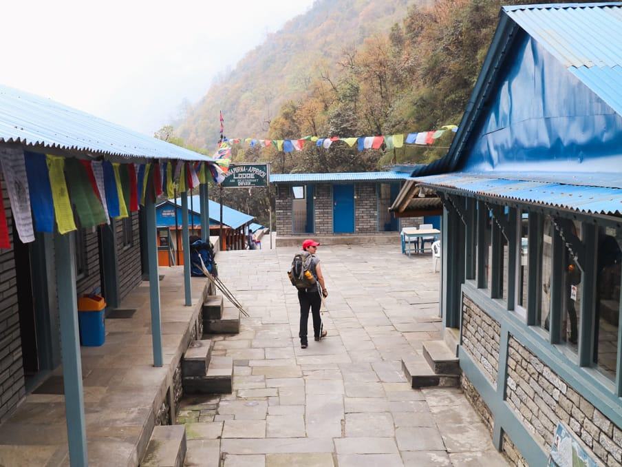 Tea House in  Doban