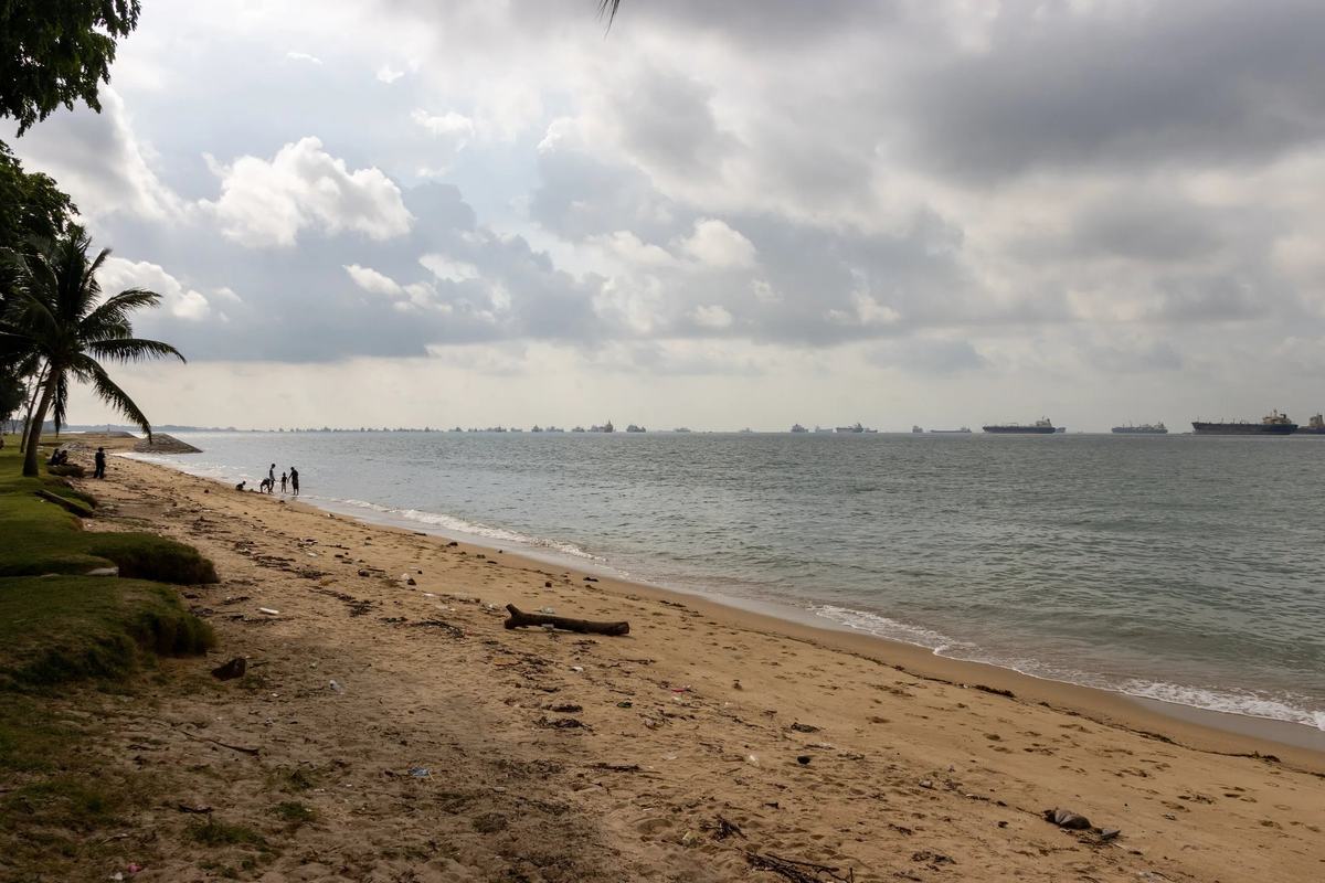 The beach at East Coast Park, with palms, walkers and ships anchored offshore, Singapore