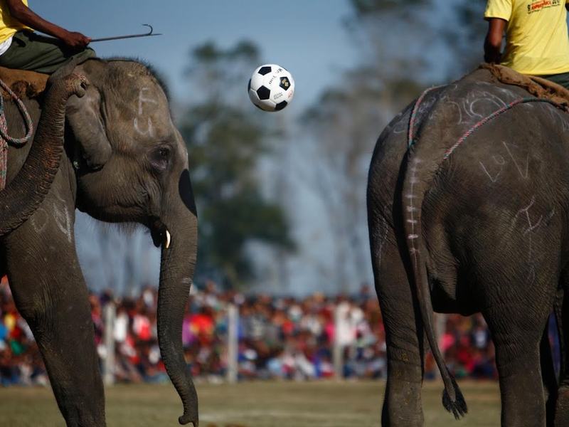 Chitwan National Park