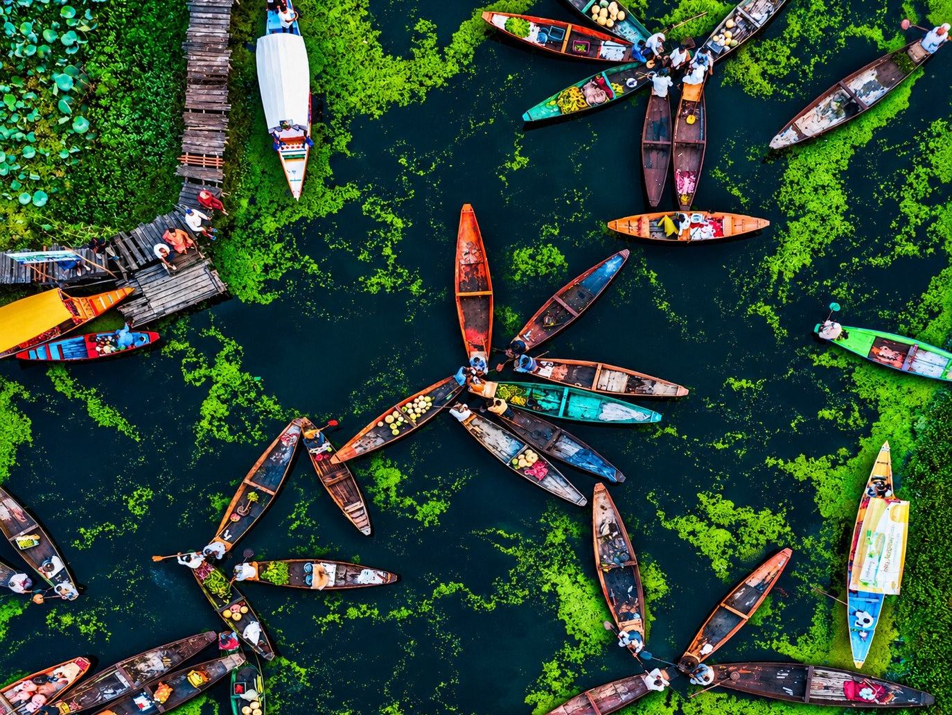 The floating vegetable market