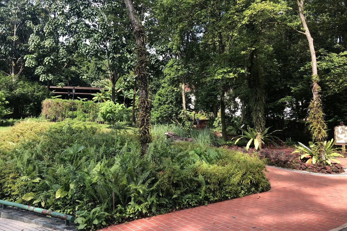 Garden beds and a brick path under tall trees in Fort Canning Park, Singapore