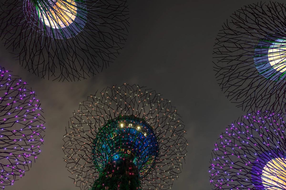 Supertrees lit purple at night, seen from below at Gardens by the Bay, Singapore
