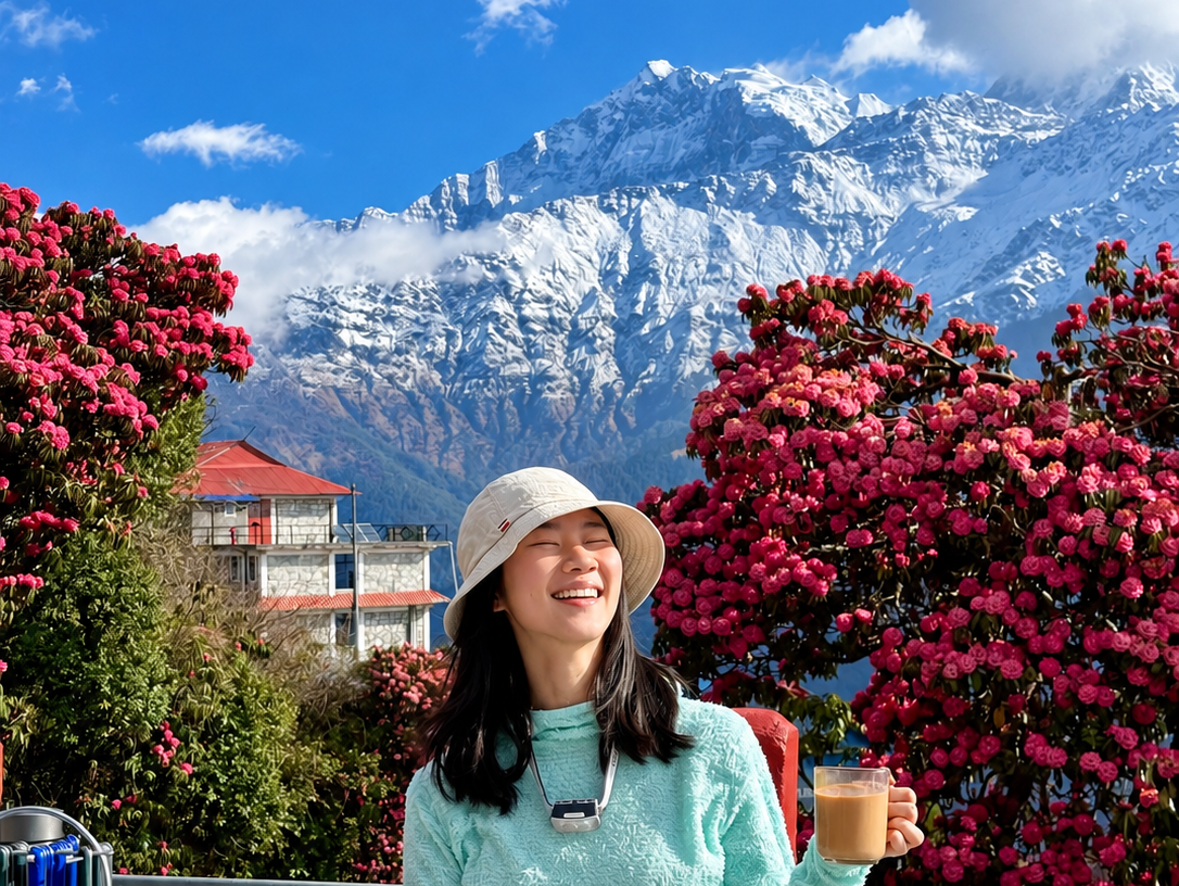 Trekker with milk tea at a teahouse breakfast among blooming rhododendrons, snow peaks behind