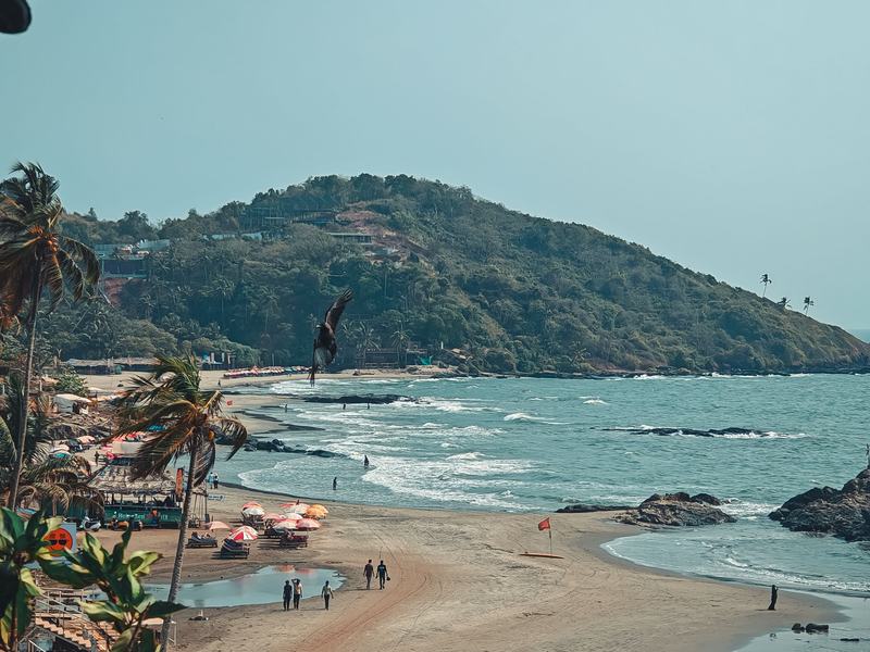 Goa