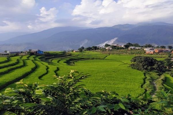 Gulmi