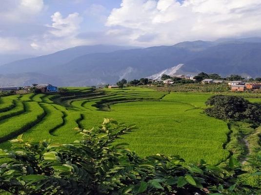 Gulmi