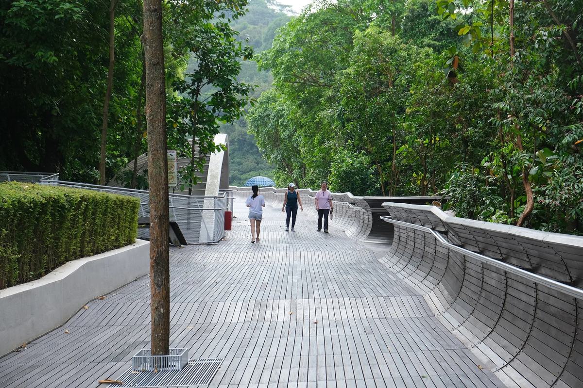 Walkers crossing the timber deck of Henderson Waves through the forest, Singapore