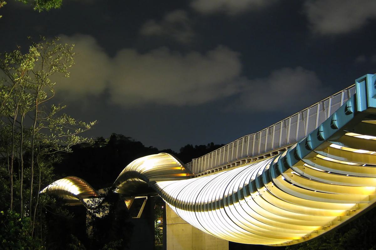 Henderson Waves lit up at night above the forest, Singapore