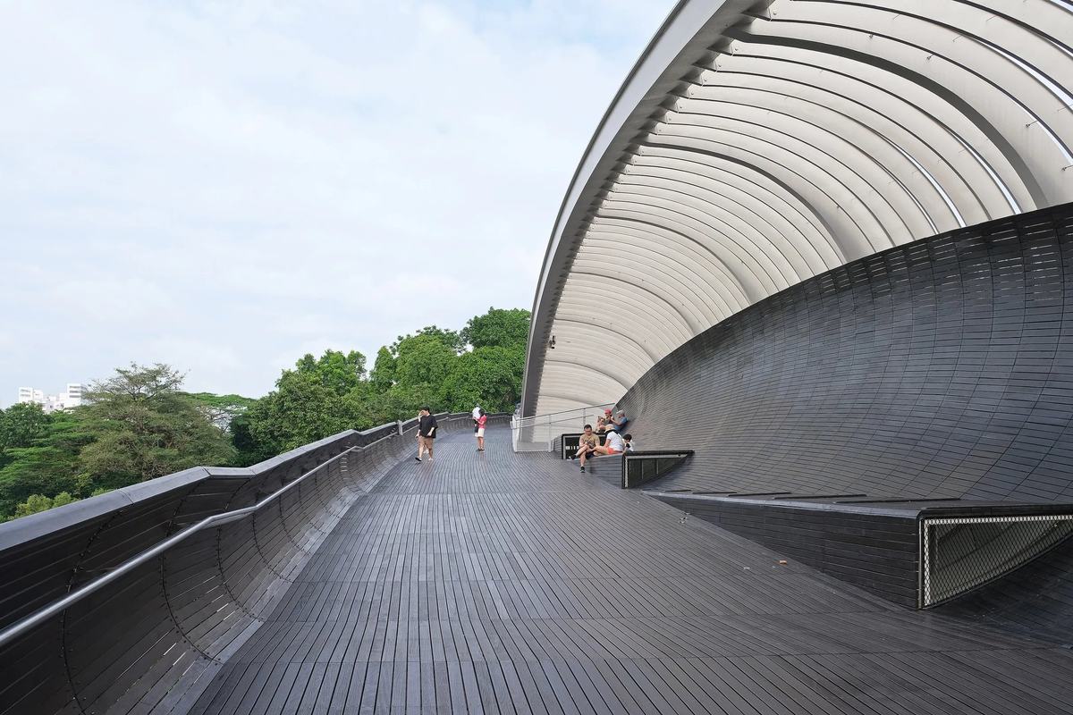 The curved timber ribs of Henderson Waves above its walkway, Singapore