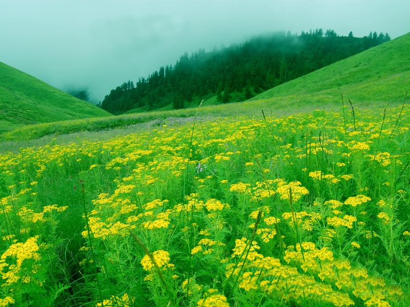 Jaljala