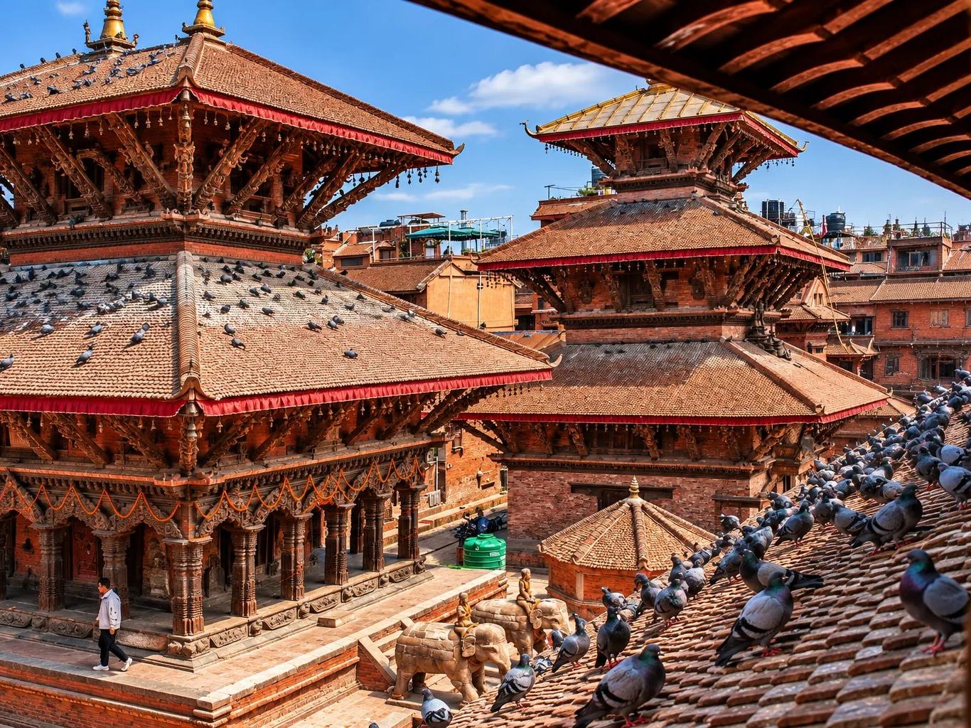 Pigeons on the roofs of tiered Newar pagoda temples in a Durbar Square, Kathmandu Valley, Nepal