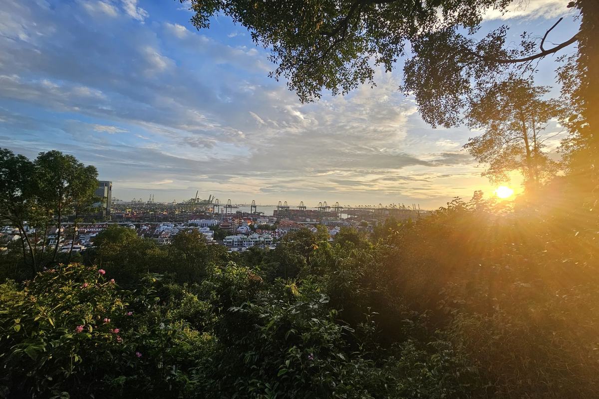 Sunset over the port and the sea from the trees of Kent Ridge Park, Singapore