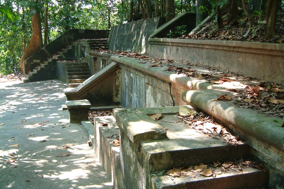 Overgrown concrete steps of old coastal fortifications at Labrador Nature Reserve, Singapore