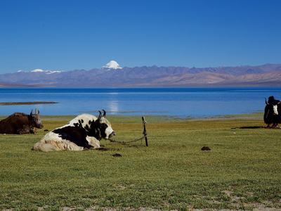 Lake Manasarovar