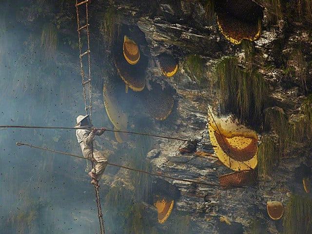 Lamjung