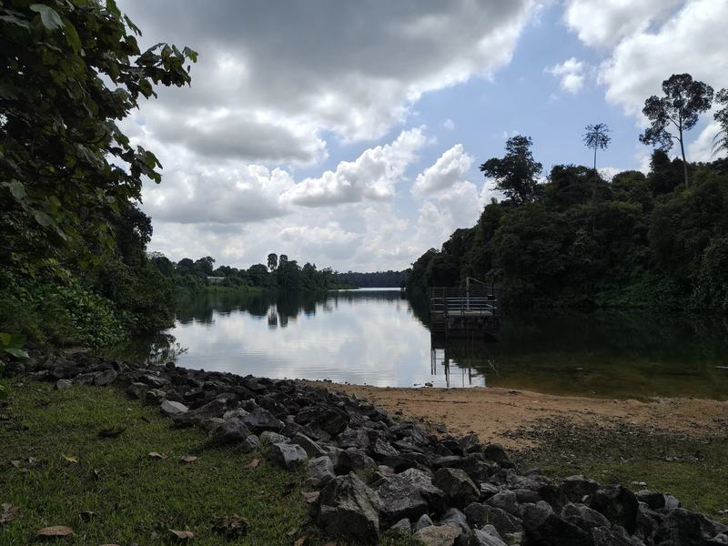 MacRitchie Reservoir & TreeTop Walk