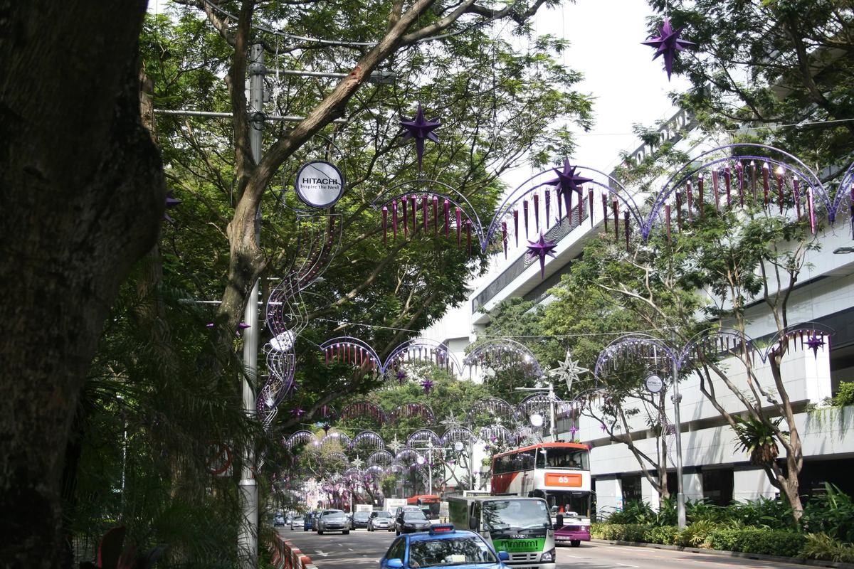 Festive lights hung over tree-lined Orchard Road, Singapore
