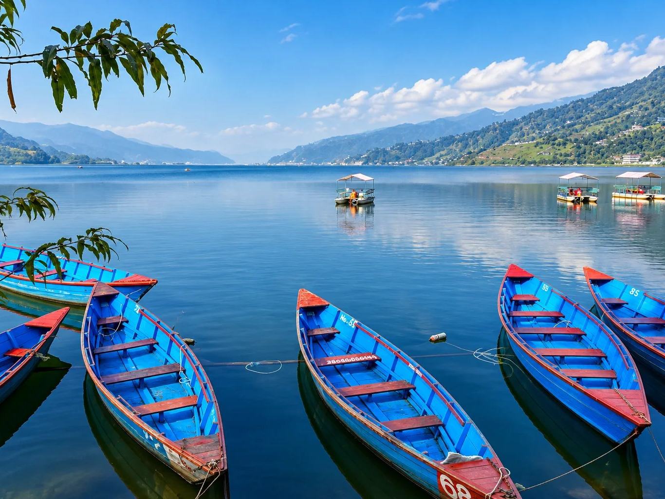Blue rowing boats moored on calm Phewa Lake, Pokhara, Nepal