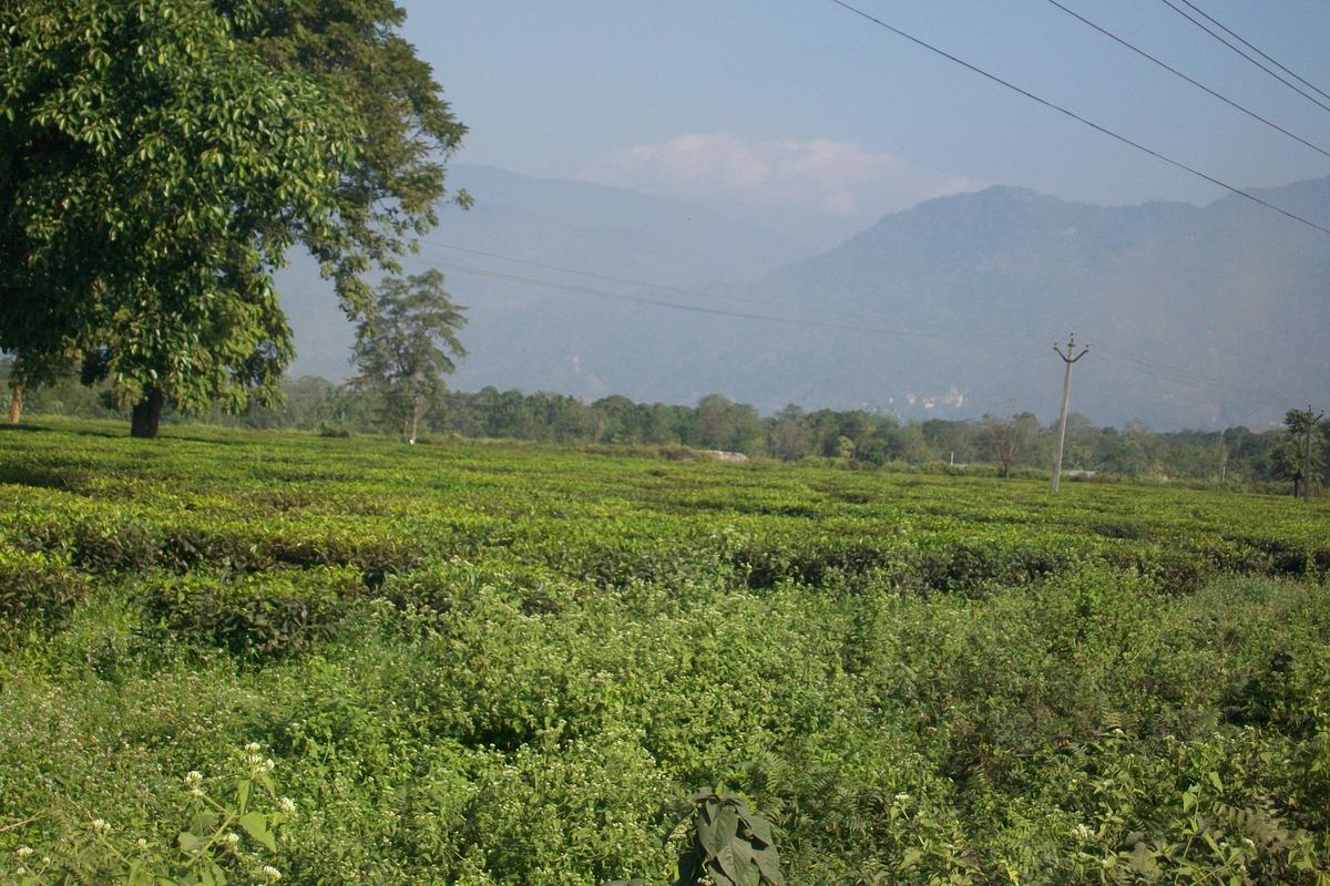 Southern Bhutan