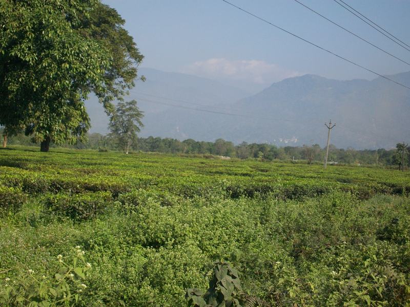 Phuentsholing Town