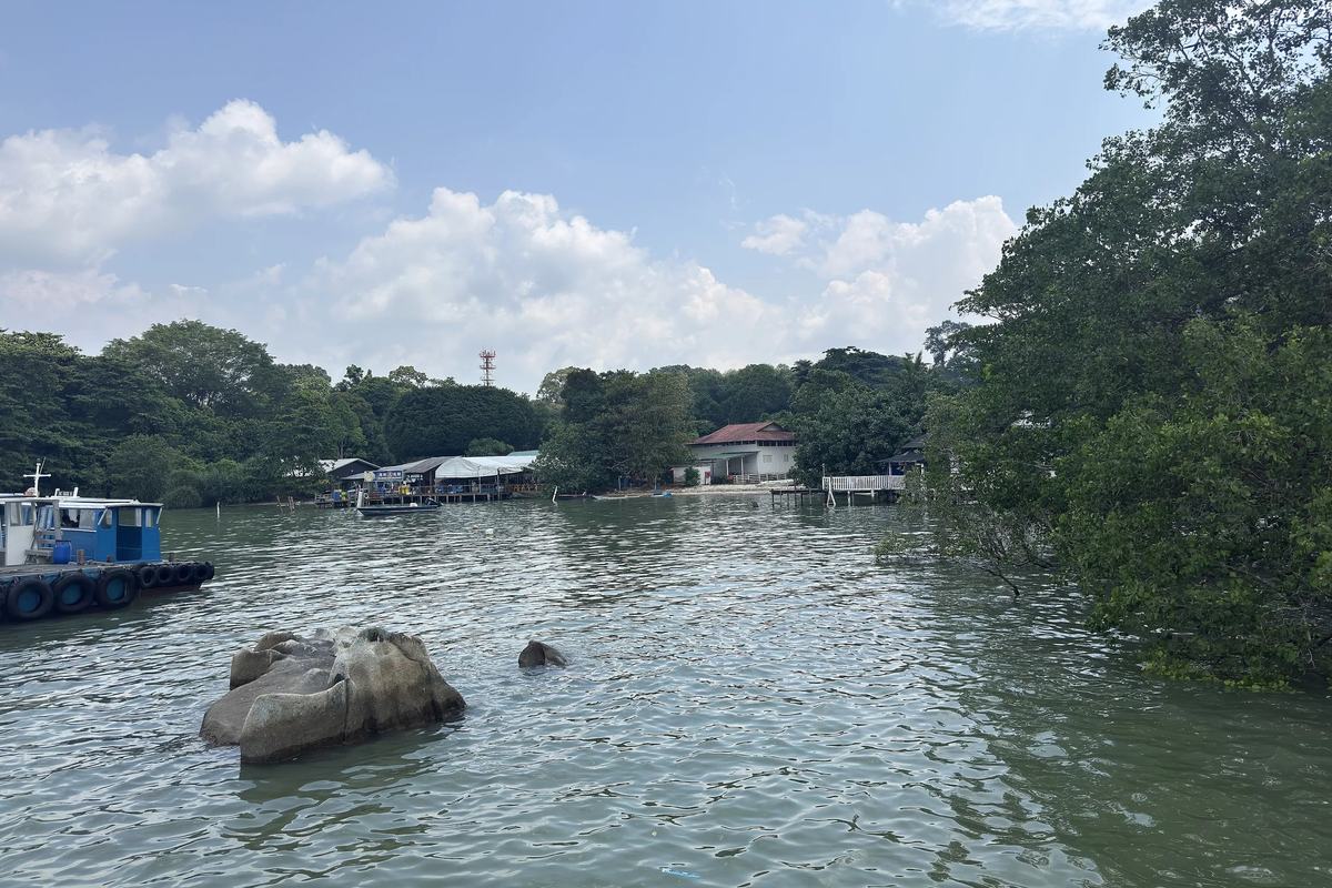 Stilt houses and mangroves along the shore of Pulau Ubin, Singapore