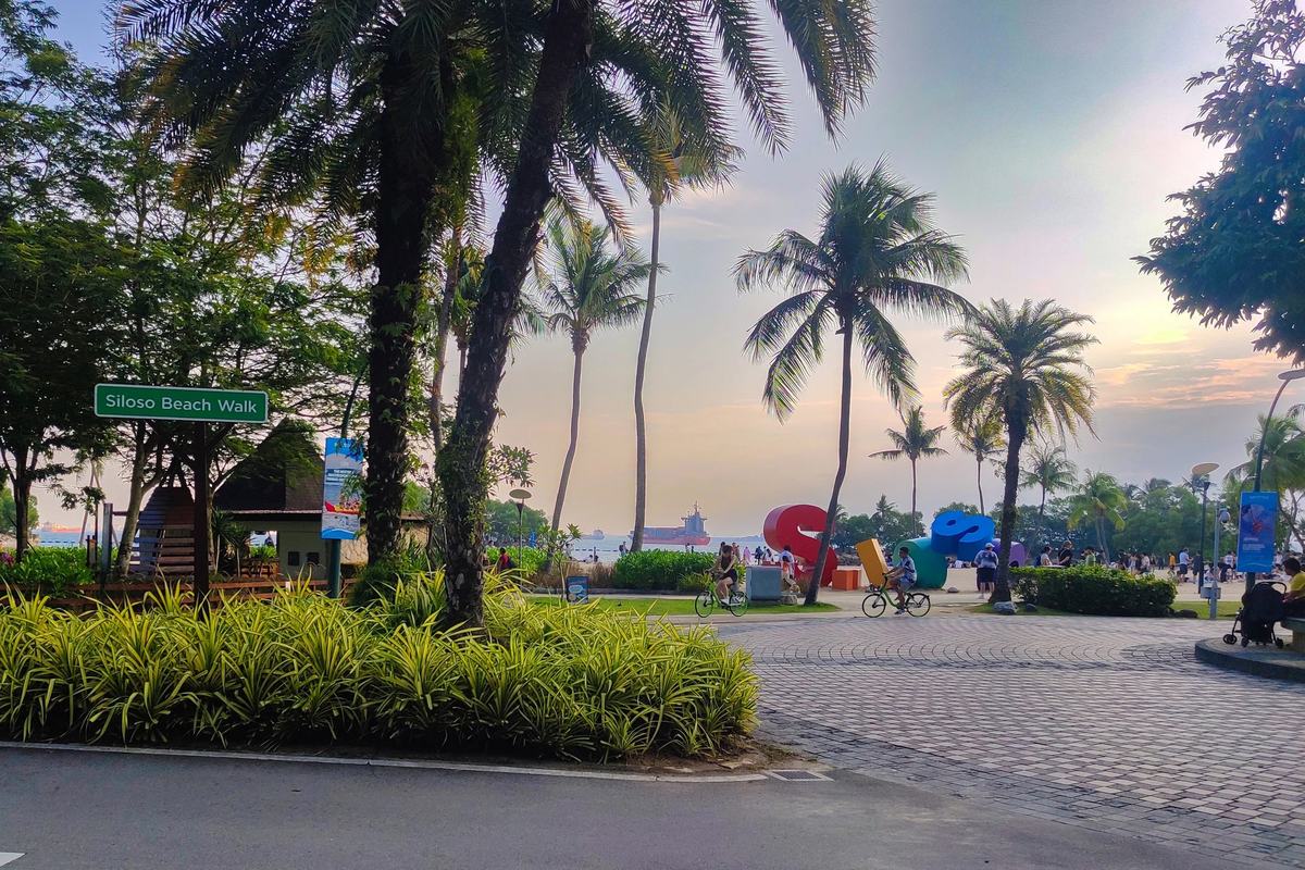 Palm trees along Siloso Beach Walk at dusk, Singapore