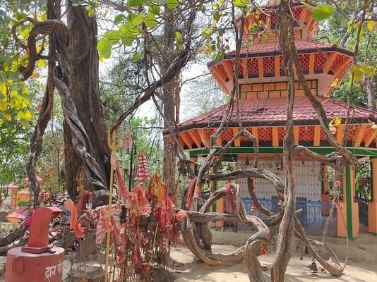 Siraha