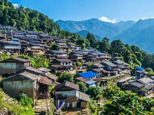 Syangja