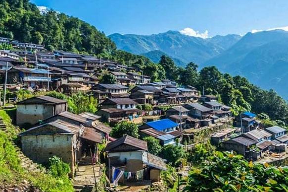 Syangja