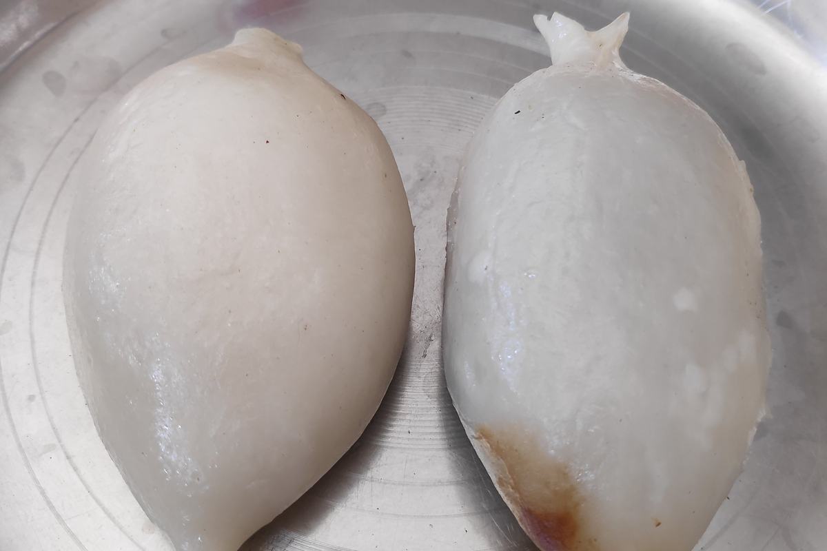 Yomari