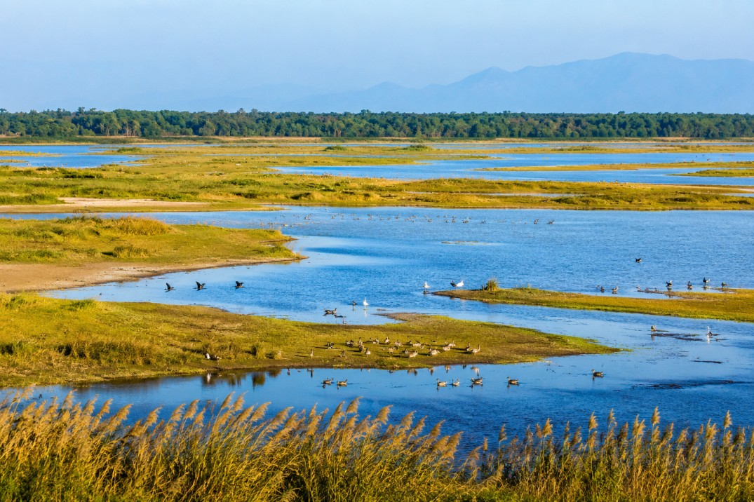 Koshi Province