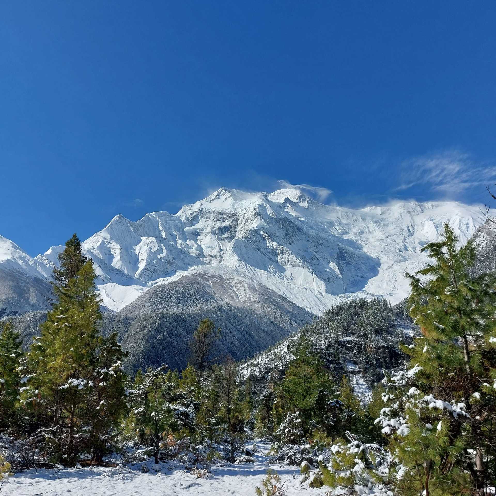 Annapurna Circuit Trek