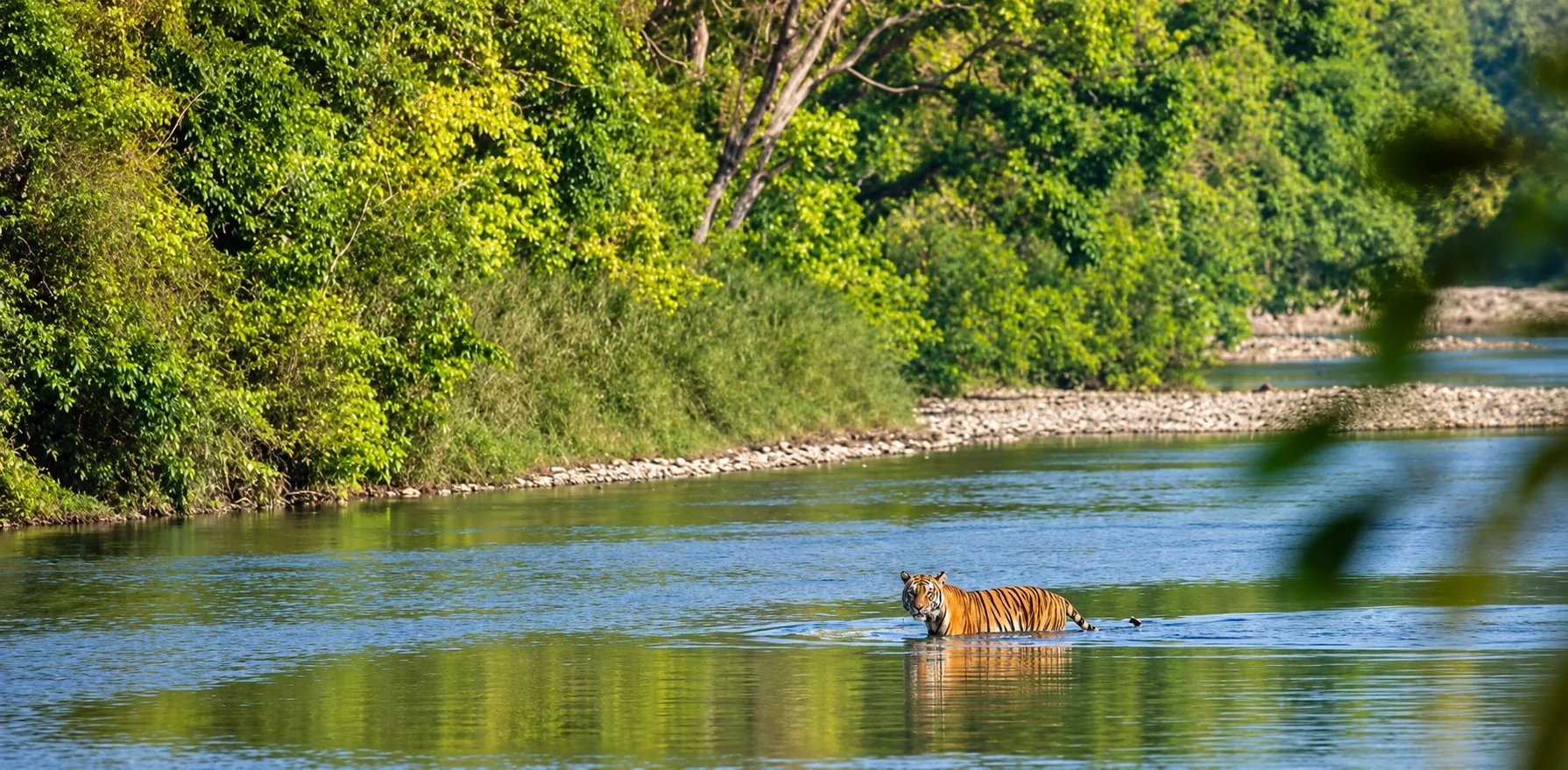 Nepal's Wild Frontier: Bardiya, Pokhara & the Annapurna Foothills